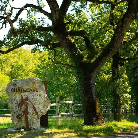 Hotel Logis Domaine Du Chatelard 4*