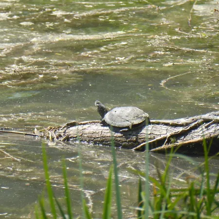Hotel Logis Domaine Du Chatelard Dirac