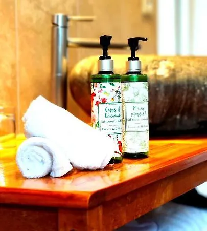 Logis Domaine Du Chatelard Hotel 4*