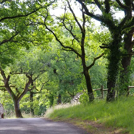 Logis Domaine Du Chatelard Hotel Dirac