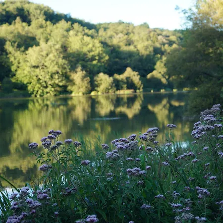Logis Domaine Du Chatelard Hotel Dirac