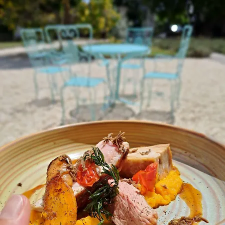 Hotel Logis Domaine Du Chatelard Dirac