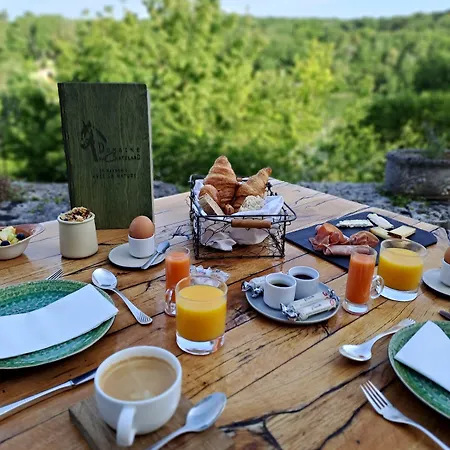 Logis Domaine Du Chatelard Hotel Dirac