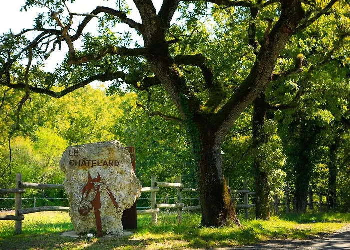 Hotel Logis Domaine Du Chatelard 4*