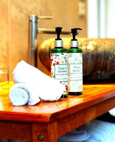 Logis Domaine Du Chatelard Hotel 4*