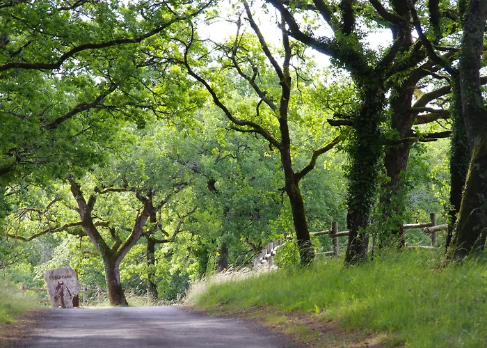 Logis Domaine Du Chatelard Hotel Dirac