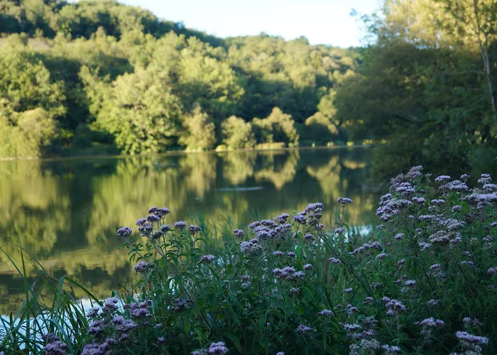 Logis Domaine Du Chatelard Hotel Dirac