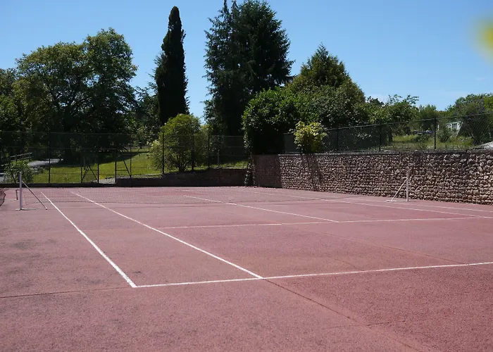 Logis Domaine Du Chatelard 4* Dirac