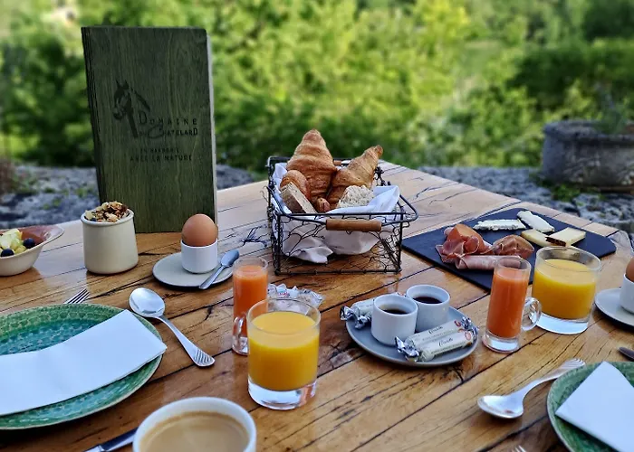 Logis Domaine Du Chatelard Hotel Dirac